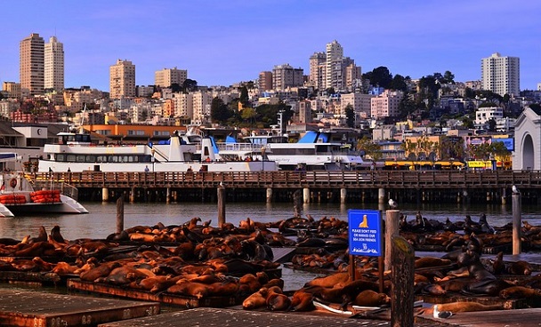 Pier 39